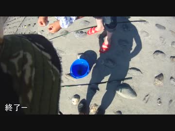 加齢た川遊び　１年ぶりの多摩川　with猫マグロさん　２