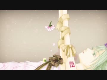 bouquet