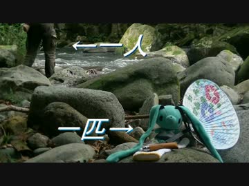 一人と一匹の川でパスタ計画その１
