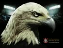 Gaviões da Fiel - Samba Enredo 2008