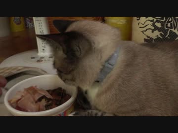 【151】ジャン❤︎ポン　マッサージ後に食事が運ばれて来る待遇