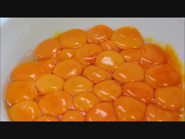 タマゴ50個の黄身をゆらゆら揺らしてみたらスゲェ！【孵化作業】