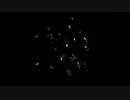 2016.9.3（長野・諏訪湖）新作花火　百鬼夜行 ～大柳に集いし仲間～