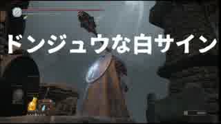 ドンジュウな白サイン