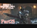 【実況】玉座は甘え！初見の王殺しが行くダークソウル3【DarkSoulsIII】part25