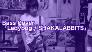 Bass Cover「Ladybug / SHAKALABBITS」結月ゆかり