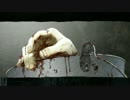 【実況】目を抉り取る殺人鬼 -真 流行り神- ブラインドマン編【Part19】