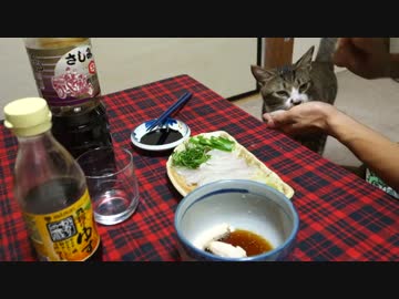 アウトドアをやろう！「ヤガラ釣って食べるぞ」 in 八丈島