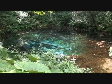 メタル野郎のバイク放浪記 試される大地編 Part8 「道東は霧の中」