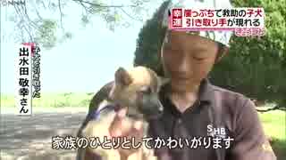 川岸から救助の子犬　引き取り手みつかる