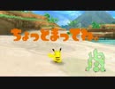 【ポケパークWii】ともだちなんにんできるかな？　Part4