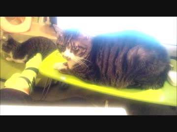 【こげつく】　男は黙って露骨にアピール