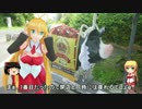 【NM4-02】弦巻マキと名所探訪 part.13「鹿児島県・黒豚を食べに行こう」