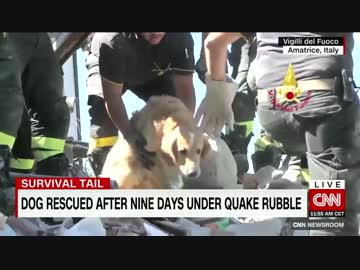 がれきに埋もれ９日間、犬の救出に歓声　イタリア地震