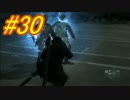 [実況][MGSV:TPP]BOSSはトロコンするまでずっとパシリ #30