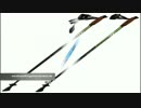 Welche leki nordic walking stöcke