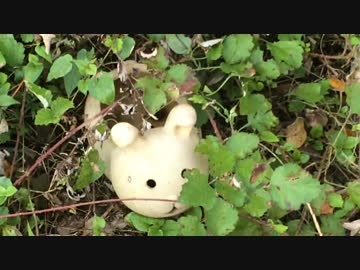 蟻戦争＃51 FIT―問われる真価編