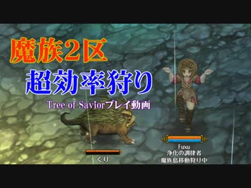 【ToSプレイ動画】魔族2区超効率狩り【Tree of Savior】