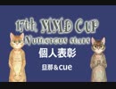第17回MMD杯個人表彰を作ってみた