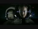 Calvin Harris ft. Sia - Wild control