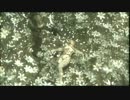 【実況】就活生が社会の厳しさを学ぶMGS3　part.42