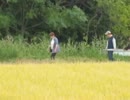 みのりの里が知将にいやがらせを教えていると指摘する糖質おじさん