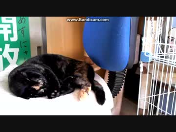 ぎゅ～～っとして　二連発