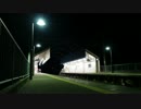 【SOUND ONLY】とある初秋の夜～秋虫の合唱祭～