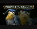 【MHX】全身タイツの女達が行くモンハン日記【夜鳥編】