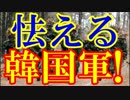 韓国軍が「大量反撃報復」衝撃概念を電撃公開！実際の効果は？