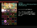 パズドラ　第33回チャレンジダンジョンLv10 ネフティス＋DRST