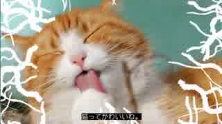 眠れない夜に「あたまおかしい」ゲーム実況