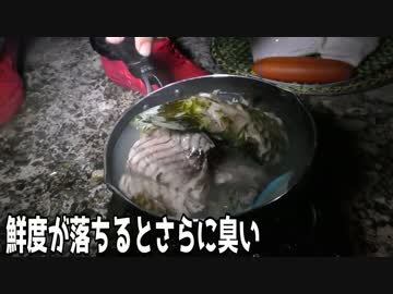 ゼロ円から始まる釣り生活　【津堅島編　サバイバル】　3話