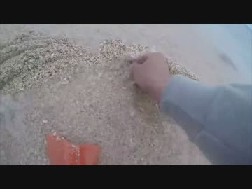 ゼロ円から始まる釣り生活 6話 【津堅島編 サバイバル】