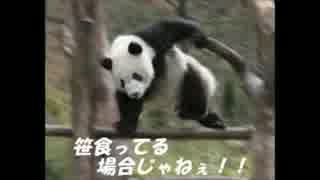 【やまびこ中将の政略】政剣マニフェスティア36【4-5じゃあああ】