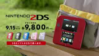 2DS