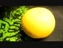 【音フェチ】グレープフルーツ食べる音【咀嚼音】