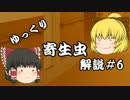 【ゆっくり解説】ゆっくり寄生虫解説#6~マイクロネーマ・デレトリックス~