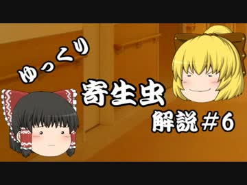 【ゆっくり解説】ゆっくり寄生虫解説#6~マイクロネーマ・デレトリックス~