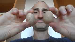 【咀嚼音】Eating raw partridge eggs【ASMR】