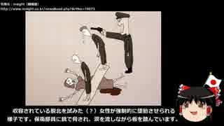 【ゆっくり保守】脱北者が描く北朝鮮収容所の実態。