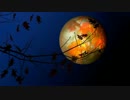 【季節用BGM】秋の夜長に浸りたい時のJazz曲
