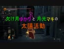 【ダークソウル3】欠け月ゆかりと月光マキの太陽活動4