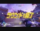 【ＯＷ】ブタがブヒブヒ言う動画