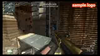 COD BO2 PC KSG4