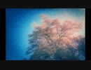 【VY2V3・KAITO_V3】花嵐【和風オリジナル曲】