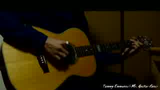 Tommy Emmanuel  Mr. Guitar 演奏してみた