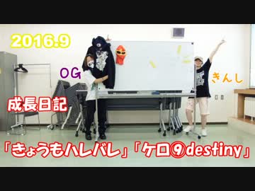 【OG.toきんし。】きょうもハレバレ／ケロ⑨destiny成長日記