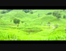 砥峰高原／映画やドラマなどのロケ地としてよく利用される