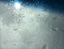 イルカ【雨の物語】歌ってみた